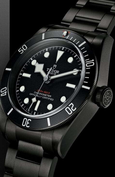 Tudor BLACK BAY DARK M79230DK-0008 Replica Watch